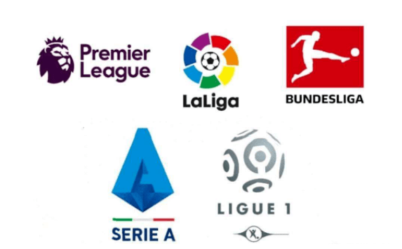 体的匹克球, 体育, 苏娅辉