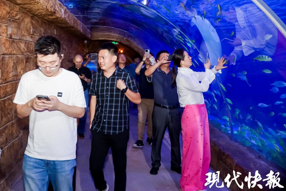 他提到了目, img